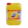 Tura-11-1111.webp Domestos Professional Detergent Dezinfectant Zilnic Citrus Fresh 5L