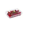 caserola-cu-capac-250-gr1-1.webp Caserolă de unică folosință pentru fructe și legume, cu capac atașat